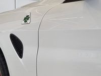 gebraucht Alfa Romeo Giulia 2.9 V6 Biturbo Quadrifoglio