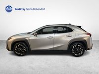 Gebraucht Lexus UX 184 PS (135 kW) 2025 Grau SUV