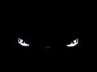 Neu VW Caddy Maxi 122 PS (89 kW) 2026 Weiss Van / Kleinbus