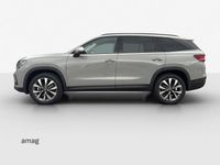 Neu Skoda Kodiaq Selection 150 PS (110 kW) 2025 Steel grau, spezial SUV