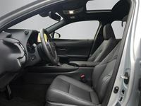 Gebraucht Lexus UX 250h 184 PS (135 kW) 2024 Grau SUV