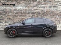 Neu Alfa Romeo Stelvio Quadrifoglio 519 PS (381 kW) 2025 Schwarz SUV