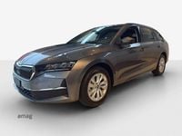 Neu Skoda Octavia Selection 150 PS (110 kW) 2026 Kombi