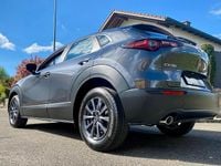 Neu Mazda CX-30 Prime-Line 140 PS (102 kW) 2025 SUV