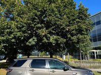 Gebraucht Land Rover Discovery Sport Pure 241 PS (177 kW) 2016 SUV