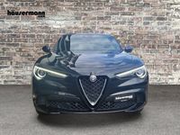 gebraucht Alfa Romeo Stelvio 2.9 V6 Biturbo Q4 Quadrifoglio