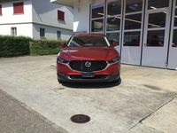 Gebraucht Mazda CX-30 Center-Line 140 PS (102 kW) 2025 SUV