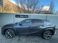 Neu Lexus UX 300h 199 PS (146 kW) 2025 Anthrazit SUV