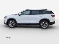 Neu Skoda Kodiaq Dynamic 193 PS (141 kW) 2026 Moon weiss, metallic SUV