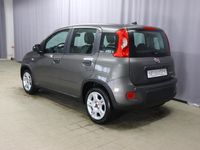 gebraucht Fiat Panda Hybrid UVP 17.680 Euro 1.0 GSE 51kW Mild-Hybrid Komfort-Paket, Klimaanlage, Bordcomputer, Heckscheibenheizung, Servolenkung, LED-Tagfahrlicht, 15" Design-Stahlfelgen, uvm.