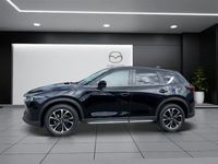 gebraucht Mazda CX-5 SKYACTIV-D 184 Newground AWD Automat