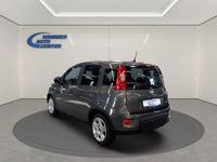 gebraucht Fiat Panda 1.0 Hybrid Cult