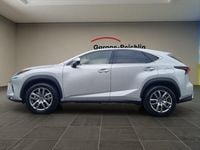 Gebraucht Lexus NX300h 197 PS (144 kW) 2019 Silber SUV