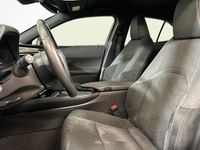 Gebraucht Lexus UX 250h 184 PS (135 kW) 2023 SUV