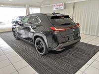 gebraucht Lexus UX 250h Kuro AWD