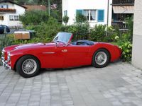 Gebraucht Austin Healey 100 1955 Cabrio