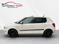 gebraucht Skoda Fabia 1.2 TSI Fresh DSG