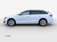 Gebraucht Skoda Octavia Selection 150 PS (110 kW) 2025 Moon weiss, metallic Kombi
