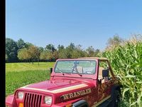 Gebraucht Jeep Wrangler 1988 SUV