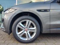 Gebraucht Jaguar F-Pace R-Sport 250 PS (183 kW) 2017 Grau SUV