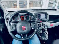 Gebraucht Fiat Panda Cross Cross 70 PS (51 kW) 2023 Kleinwagen