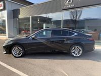 gebraucht Lexus ES300H 