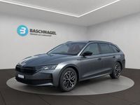 Neu Skoda Octavia Dynamic 204 PS (150 kW) 2026 Kombi