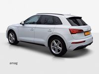 gebraucht Audi Q5 40 TDI S line