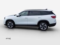 Neu Skoda Kodiaq Dynamic 204 PS (150 kW) 2026 Moon weiss, metallic SUV