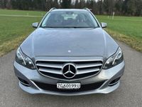 Gebraucht Mercedes E250 204 PS (150 kW) 2014 Kombi