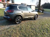 Gebraucht Citroën C5 Aircross 136 PS (100 kW) 2024 SUV