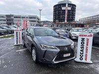 Gebraucht Lexus UX 300e 150 kW (204 PS) 2026 Gray SUV