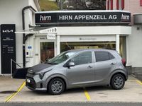 Neu Kia Picanto 68 PS (50 kW) 2026 Gray Kleinwagen