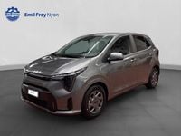 Neu Kia Picanto 68 PS (50 kW) 2026 Grau Kleinwagen