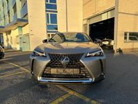 Gebraucht Lexus UX 250h E-FOUR 183 PS (134 kW) 2023 SUV