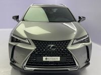 Gebraucht Lexus UX 300e 150 kW (204 PS) 2024 Silber SUV