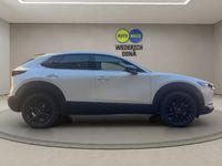 gebraucht Mazda CX-30 S-X186 FWD AT Homura 2024