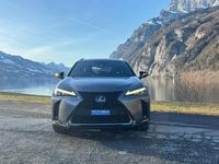 Gebraucht Lexus UX 250h Sport Line 183 PS (134 kW) 2019 SUV