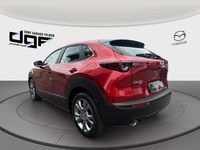 Neu Mazda CX-30 Center-Line 186 PS (136 kW) 2026 SUV
