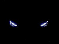 Neu Ford Tourneo Titanium X 170 PS (125 kW) 2026 Van / Kleinbus