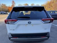 Neu Toyota RAV4 Hybrid Comfort 222 PS (163 kW) 2026 SUV