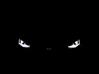 Neu VW Caddy Maxi 122 PS (89 kW) 2026 Weiss Van / Kleinbus