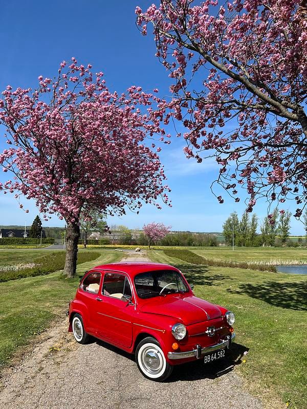 Brugt Fiat 600D 32 HK (23 kW) 1961 N/a