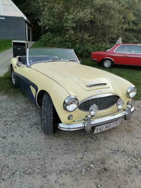 Brugt Austin Healey 100/6 86 HK (63 kW) 1959 Gul Cabriolet