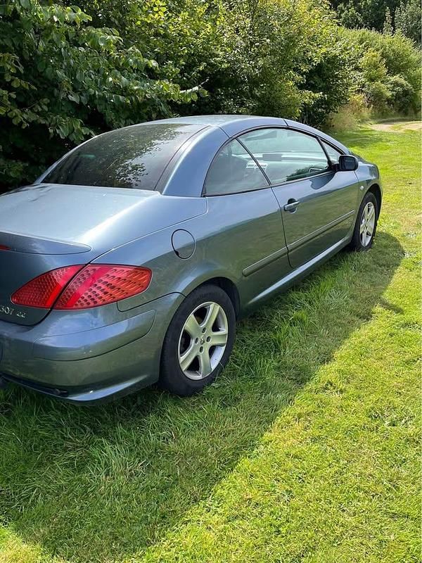Brugt Peugeot 307 CC S 140 HK (102 kW) 2005 Cabriolet