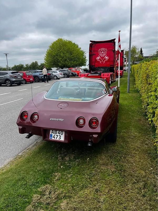 Brugt Corvette Stingray 1979 Cabriolet
