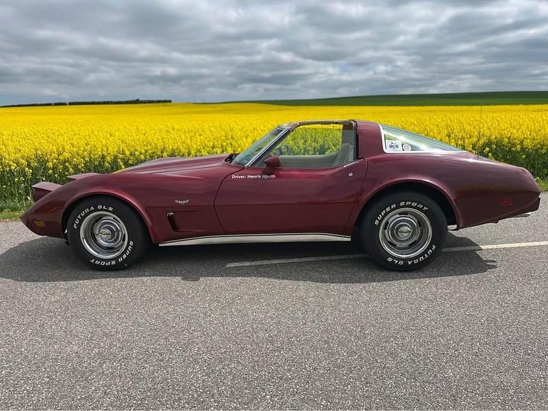 Brugt Corvette Stingray 1979 Cabriolet