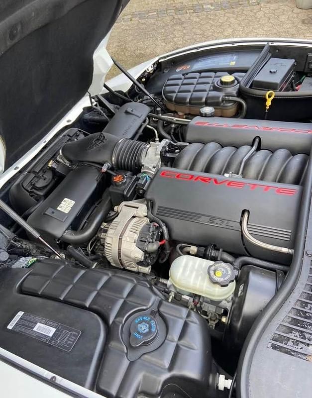 Brugt Corvette C5 345 HK (253 kW) 1999 Coupe