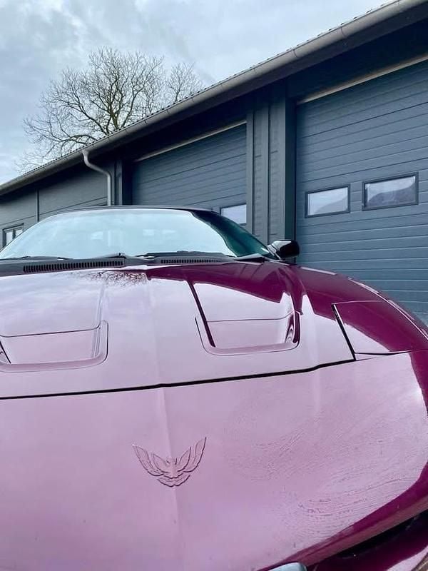 Brugt Pontiac Firebird 196 HK (144 kW) 1997 Cabriolet