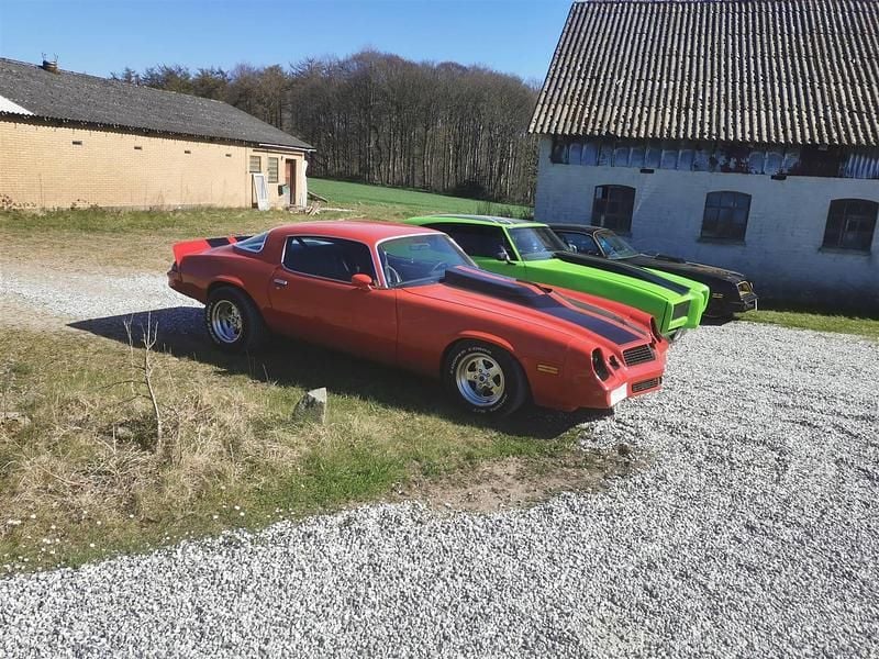 Brugt 1981 Chevrolet Camaro | 175.000 kr. - Billede 1/4